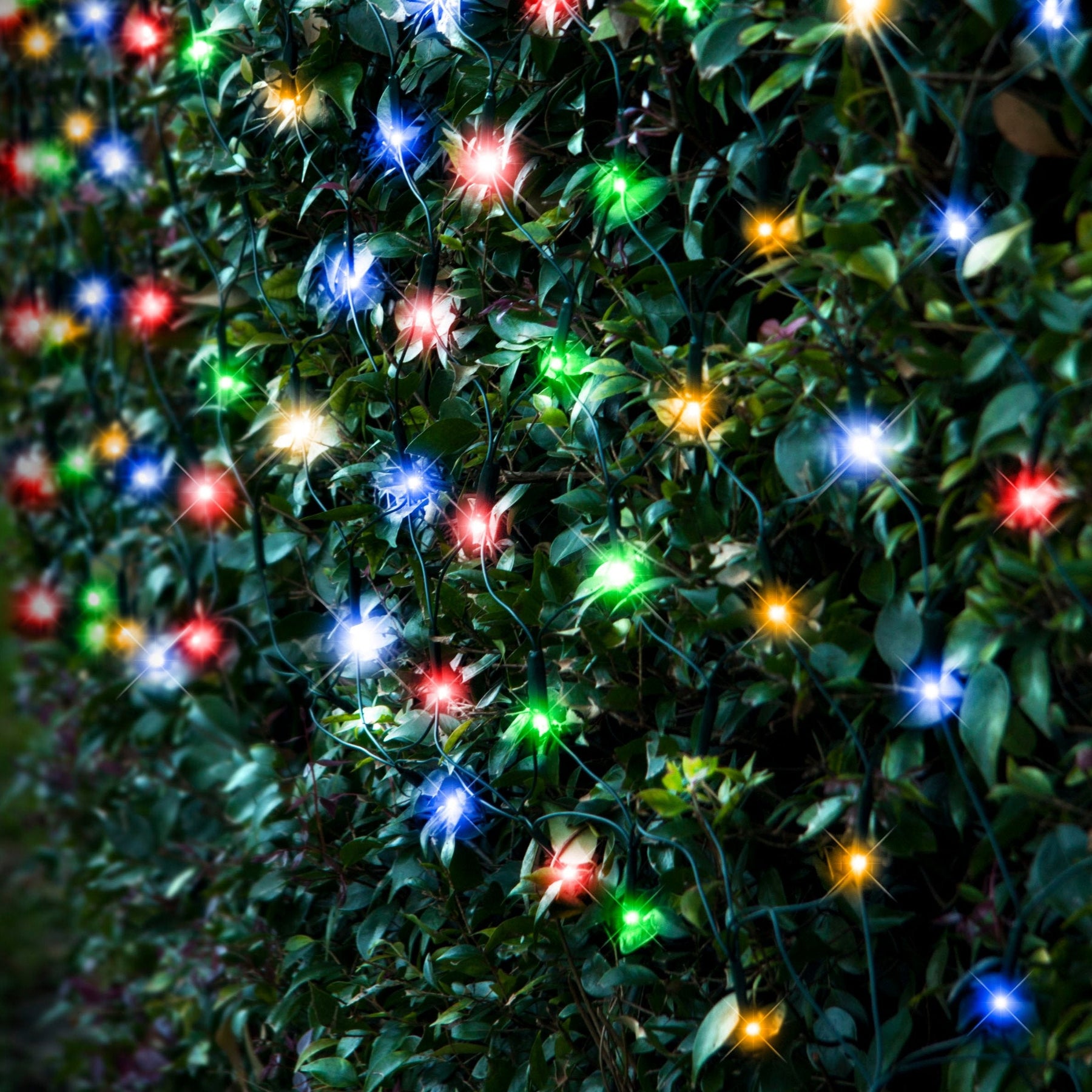 Battery Operated 180 LED Net Lights – available in 3 Colors - Cool White - SuperSaverAU - view 3
