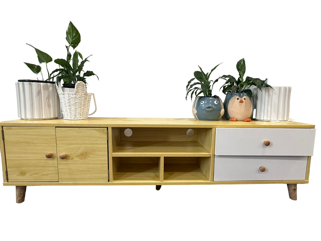 NNECN Two-Doors, Two-Drawers Wooden TV Cabinet - SuperSaverAU - view 4