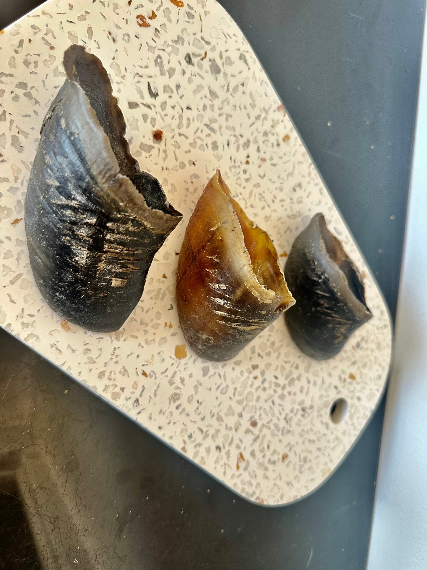 Life in the Outback Just Cow Hooves - 100% Natural, Australian Sourced Treats