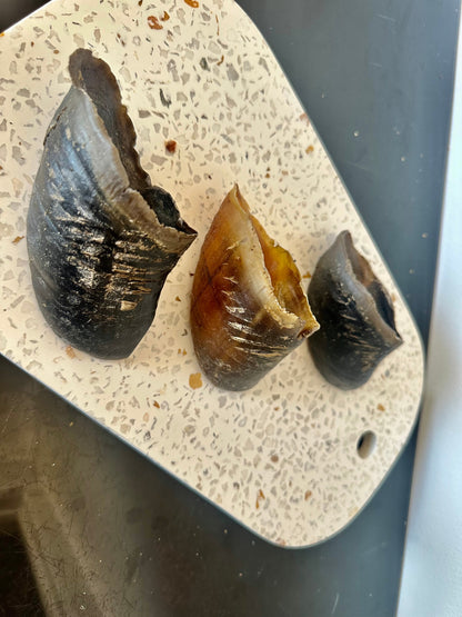 Life in the Outback Just Cow Hooves - 100% Natural, Australian Sourced Treats