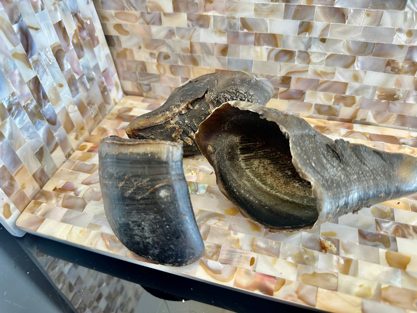 Life in the Outback Just Cow Hooves - 100% Natural, Australian Sourced Treats