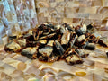 Just Sardine Chunks - 100% Natural Australian Dog Treats, Nutrient-Rich Snack - SuperSaverAU - view 2