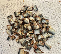 Just Sardine Chunks - 100% Natural Australian Dog Treats, Nutrient-Rich Snack - SuperSaverAU - view 5