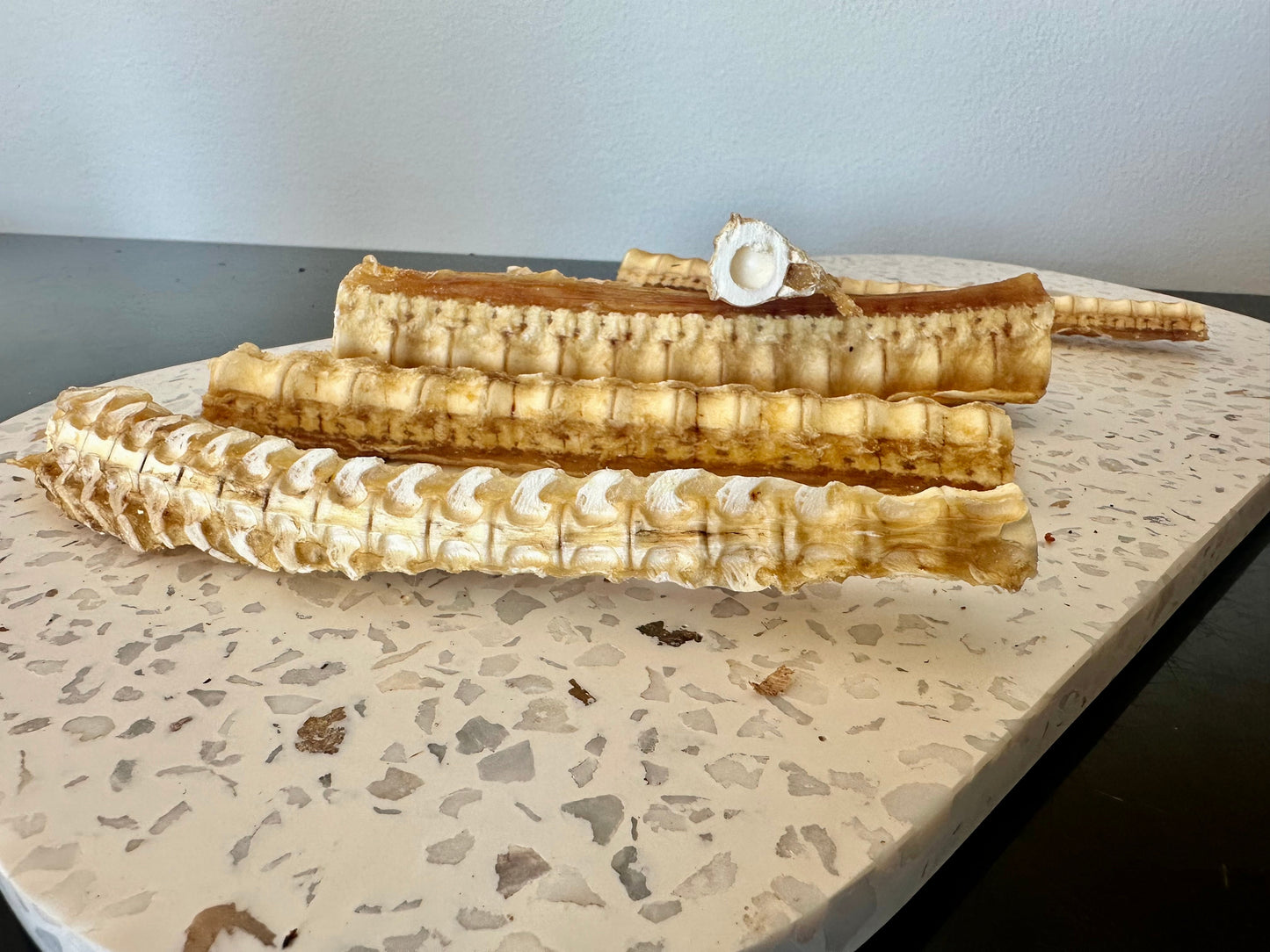 Life in the Outback Just Shark Cartilage 100% Australian, Allergen-Free Treats