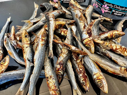 Just Whole Sardines - 100% Australian Natural Dog Treats, Nutrient-Rich, Allergen-Free