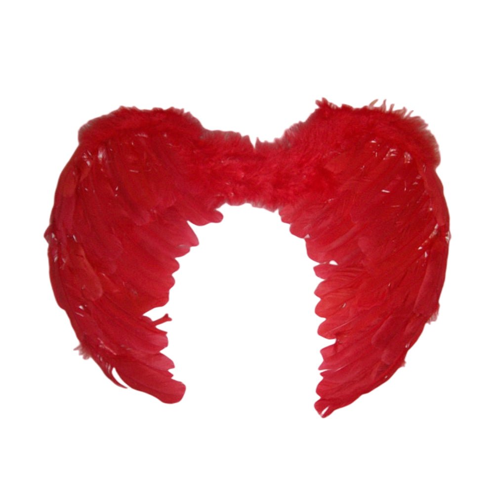 Large Feather Angel Wings 55x40cm - Assorted Colours: Purple, Blue, Red, Black, Green, Light Pink, Hot Pink - SuperSaverAU - view 1