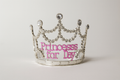 Premium Princess for the Day Silver Rhinestone Tiara with Pink Lettering