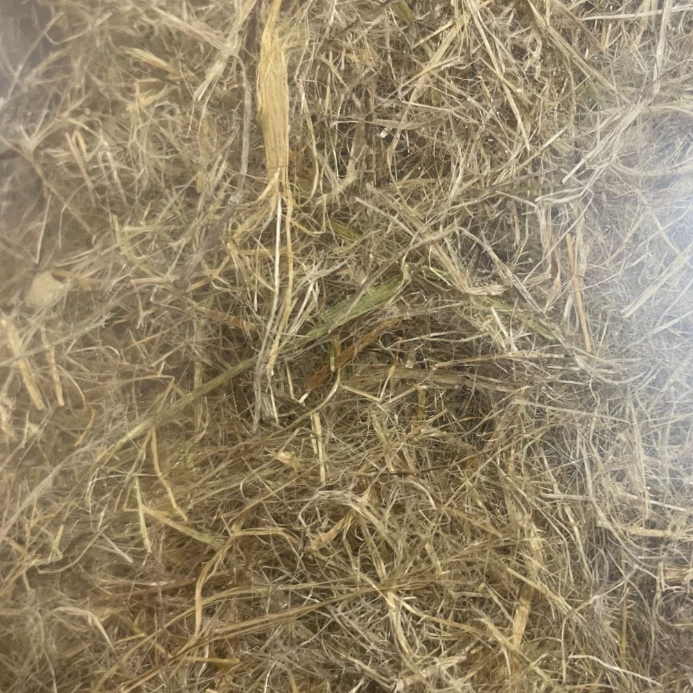 Vital Habitat Hemp Absorbent Nest Material | 50g | 2 Pack + Free Shipping