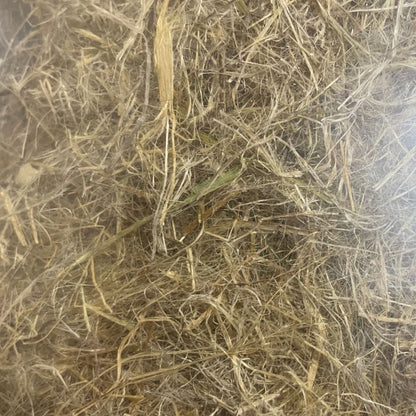 Vital Habitat Hemp Absorbent Nest Material | 50g | 2 Pack + Free Shipping