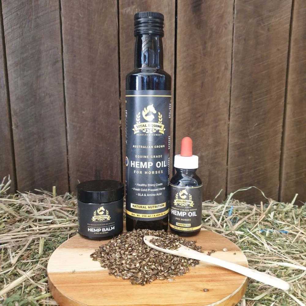 Vital Equine™ Hemp Starter Pack - 500ml Hemp Seed Oil, Turmeric + Hemp Oil, 120ml Balm