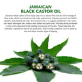 Jamaican Black Castor Oil 2.02 fl oz - Organic Hair and Skin Treatment - SuperSaverAU - view 3