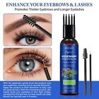 Nifeishi Organic Rosemary Essential Oil 120ml - Stimulates Hair Growth & Revitalises Scalp