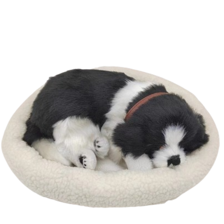 Sleepy Tails Breathing Border Collie Pet - 25cmL x 10cmH x 30cmW, Includes Extras - SuperSaverAU - view 1