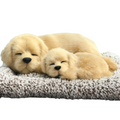 Sleepy Tails Mother & Baby Golden Retriever Set - 25cmL x 7cmH x 20cmW - SuperSaverAU - view 1