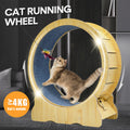 Premium Cat Running Wheel Ultra-Quiet Treadmill with Safety Latch