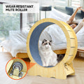 Premium Cat Running Wheel Ultra-Quiet Treadmill with Safety Latch