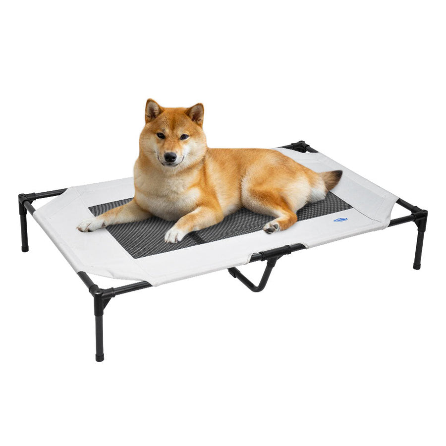 Premium Raised Dog Bed Large with Breathable Mesh - 123 x 80 x 22cm