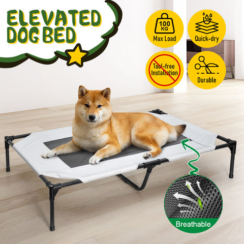 Premium Raised Dog Bed Large with Breathable Mesh - 123 x 80 x 22cm