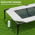 Premium Raised Dog Bed Large with Breathable Mesh - 123 x 80 x 22cm