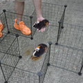 Premium Foldable Metal Pet Playpen 16 Panels with Clips - Black