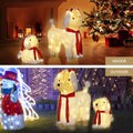 Jingle Jollys Christmas Lights 60 LED Fairy Light 2pcs Dog Decorations Set - SuperSaverAU - view 6