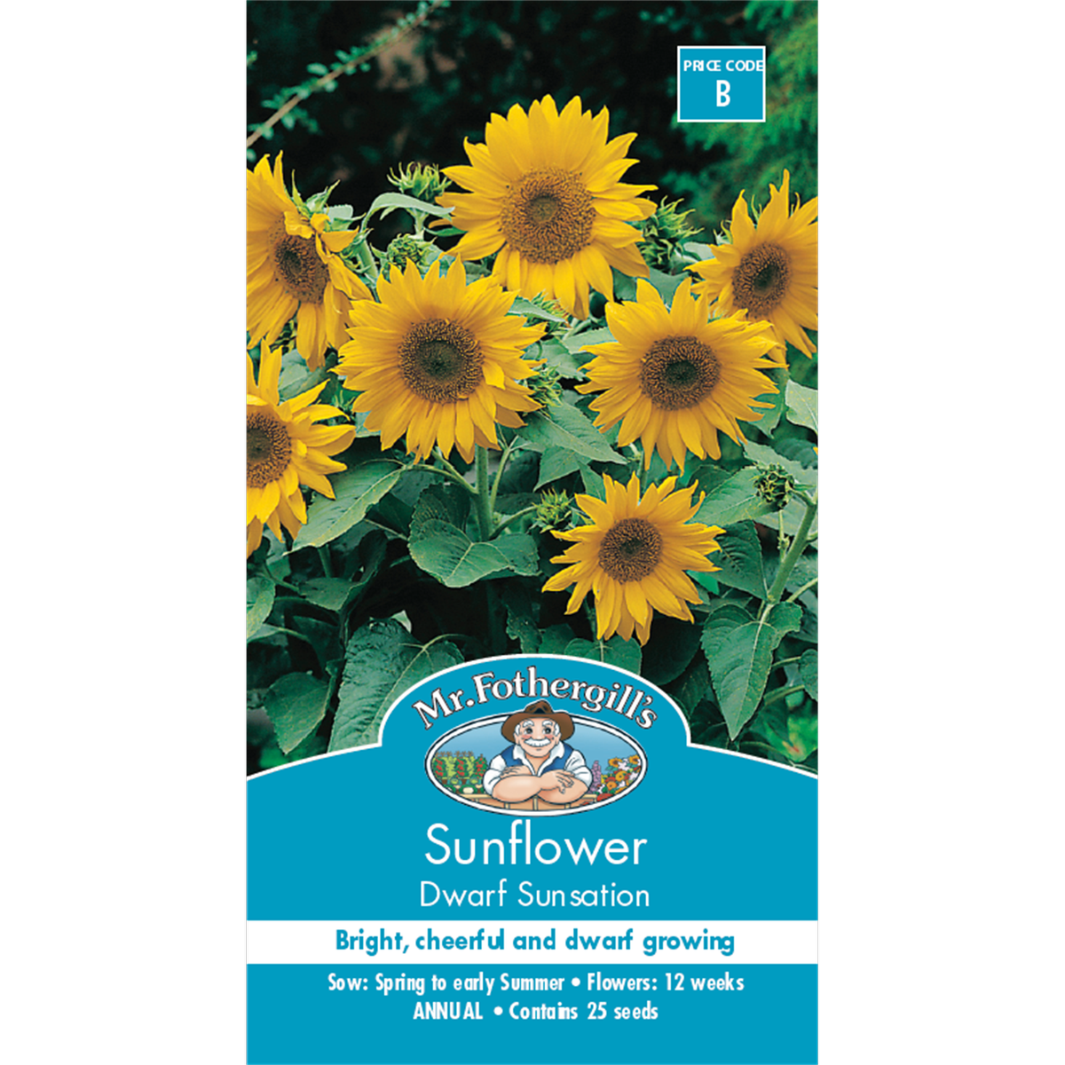 Mr Fothergill Sunflower Dwarf Sunsation Seeds 45cm Seed Quick Flower - SuperSaverAU - view 1