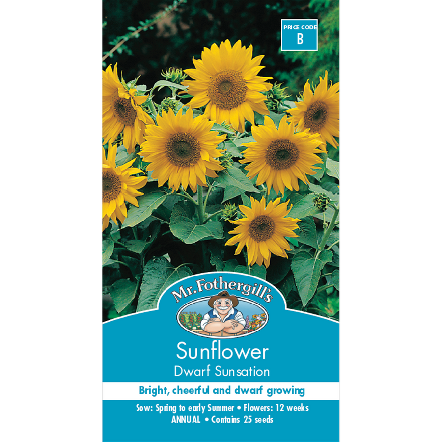 Mr Fothergill Sunflower Dwarf Sunsation Seeds 45cm Seed Quick Flower - SuperSaverAU - view 1