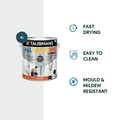 Taubmans 4L Black Low Sheen Exterior Paint - All Weather - Mould Resistant - SuperSaverAU - view 2
