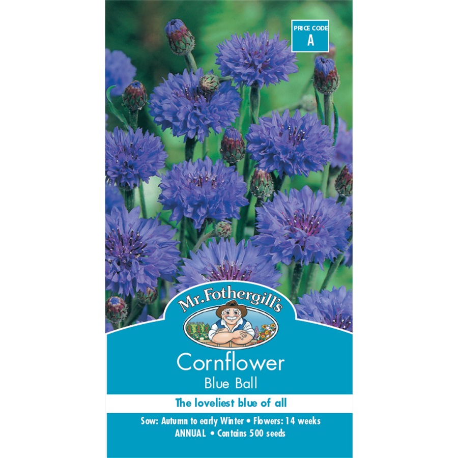 Mr Fothergill Cornflower Blue Flower Seeds - 75cm - Hardy Annual - Cut Flower - SuperSaverAU - view 1