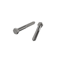 Zenith Coach Screws - M10 x 100mm - Stainless Steel 304 - Heavy-Duty - SuperSaverAU - view 1