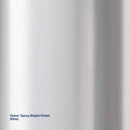 Dulux Effects 300g Silver Bright Finish Spray Paint for Decor & Craft
