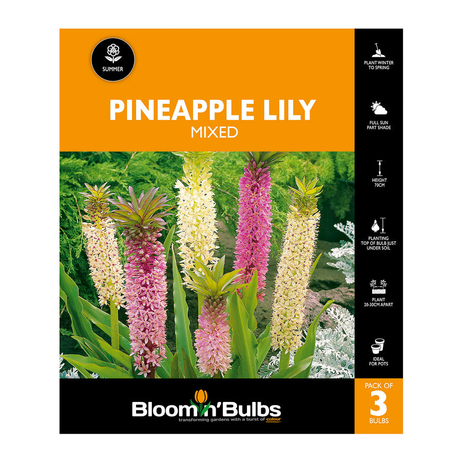 Bloomin' Bulbs Pineapple Lily Mixed 3 Pack 60-90cm Part Shade Pots