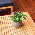 Cabot's 1L New Natural Water Based Garden Furniture Oil, UV Resistant Exterior