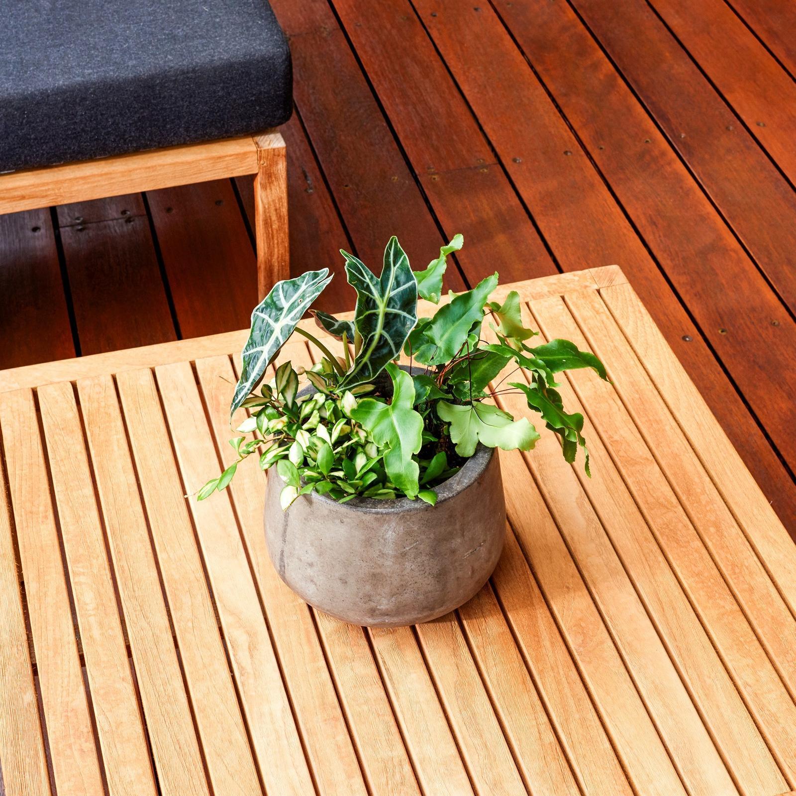 Cabot's 1L New Natural Water Based Garden Furniture Oil, UV Resistant Exterior