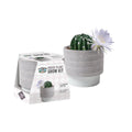 Mr Fothergill's Flowering Cactus Grow Kit - Echinopsis denudatum - 95mm x 100mm x 75mm - Indoor Gardening - SuperSaverAU - view 2