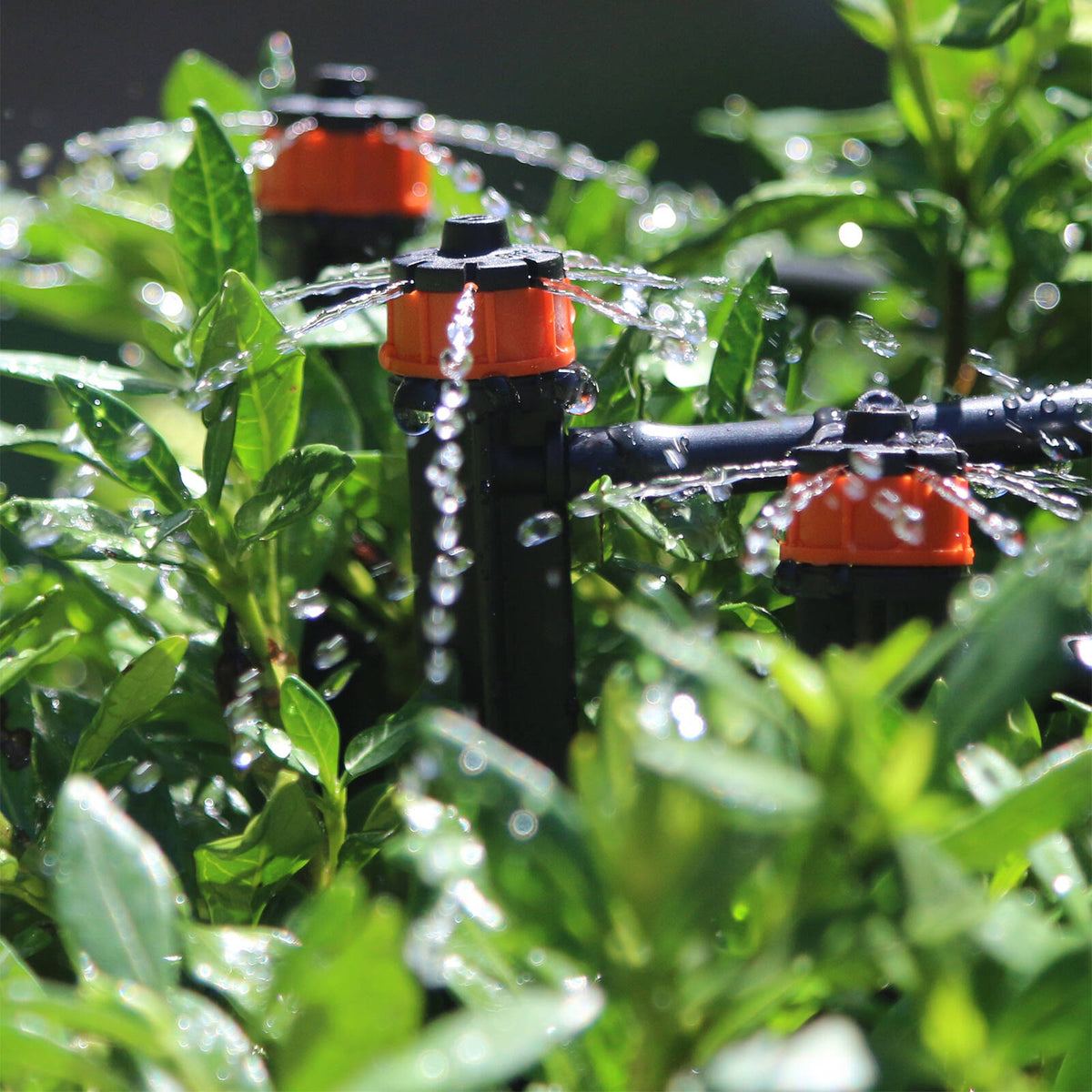 Holman Barbed Drip Irrigation PC Emitter on Spike 5 Pack - Black & Orange Plastic