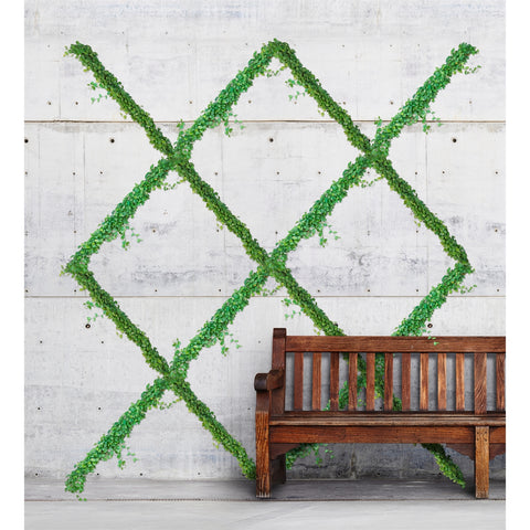 Jack Grip And Grow Trellis Kit Plant Trainer 5m
