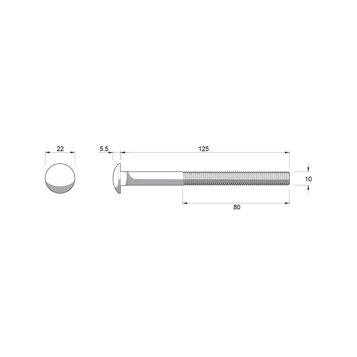 Zenith M10 Cup Head Bolt and Nut - 125mm - Zinc Plated - 4.6 Grade Steel - SuperSaverAU - view 2