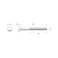 Zenith M10 x 125mm Zinc Plated Cup Head Bolt & Nut, 4.6 Grade Steel - Single