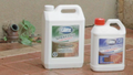 Glitz Outdoor Cleaner Concentrate 2L - Removes Algae, Moss, Mould & Mildew
