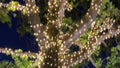 Lytworx 23.9m Warm White 240 LED Connectable Heavy Duty Fairy Lights IP44 60995