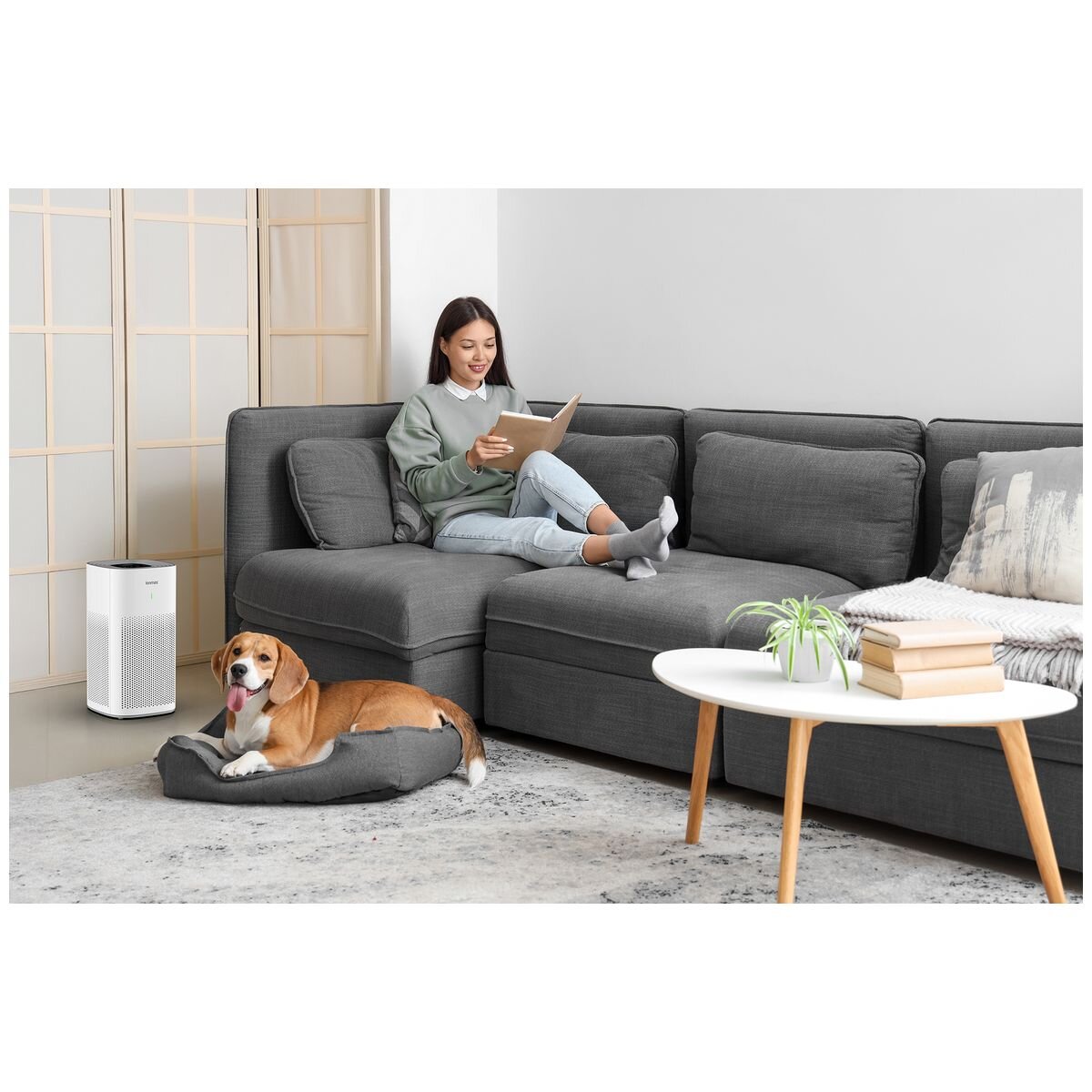 Ionmax 4-Stage HEPA Air Purifier - Wi-Fi App Control, Ioniser and PM2.5 Monitoring - White - ION350