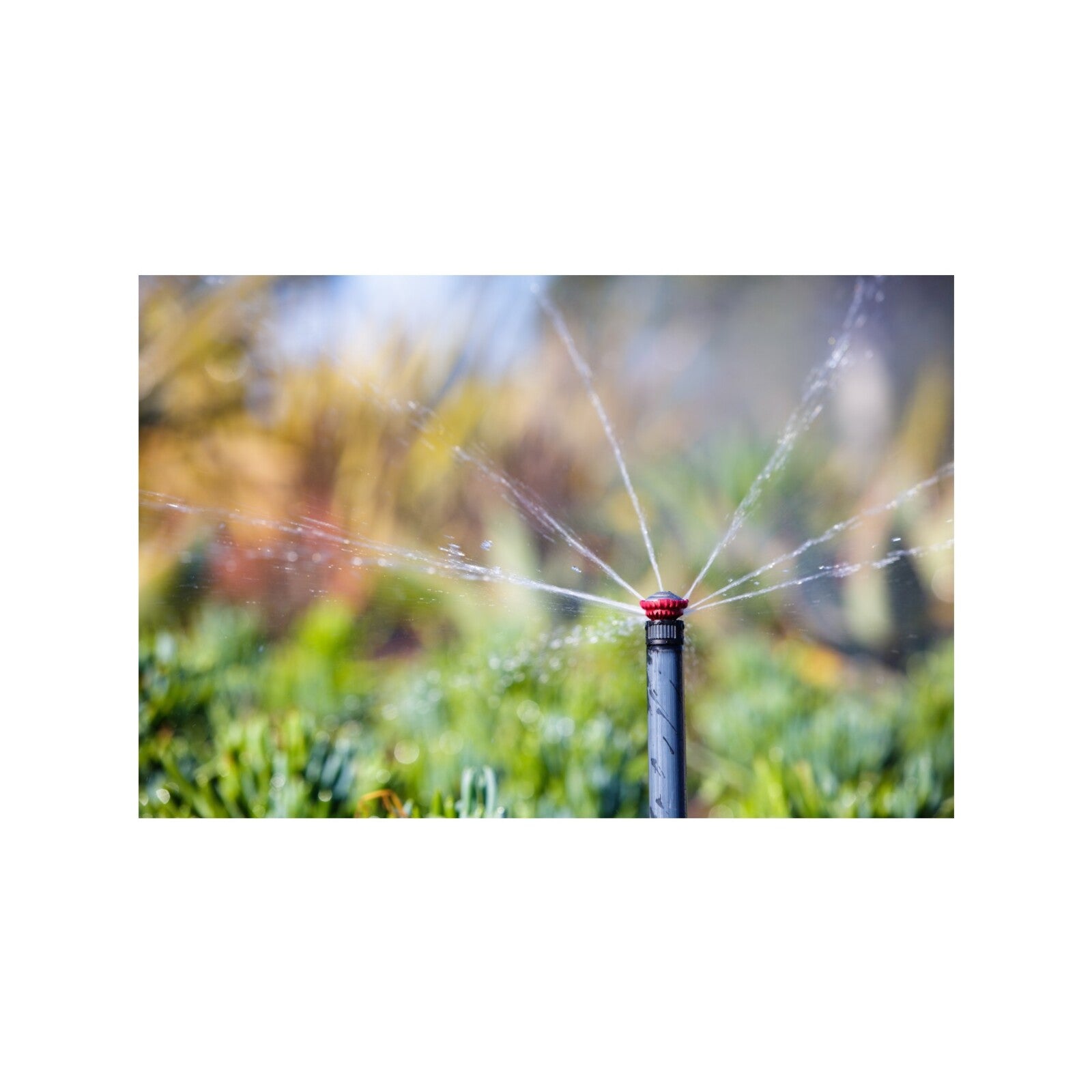 Rain Bird 5.2-7.3m High Efficiency Adjustable Pattern Rotary Nozzle