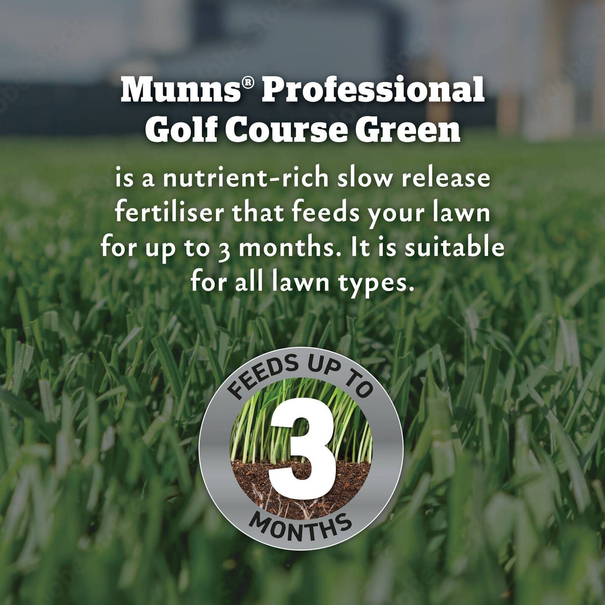 Munns Professional Golf Course Green Lawn Fertiliser 2.4L - Slow Release Nutrients - Covers 220 m² - SuperSaverAU - view 3