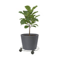 Eden 30cm Round Pot Plant Trolley Black 30kg