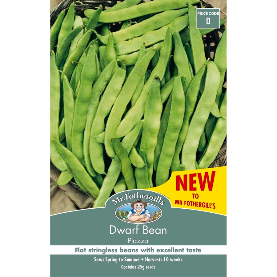 Mr Fothergills Dwarf Bean Plazza - Seeds - Compact - High Yielding - SuperSaverAU - view 1