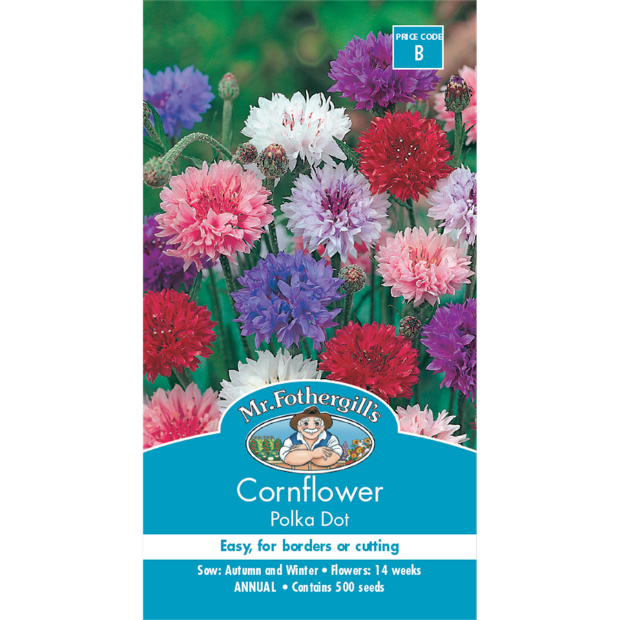 Mr Fothergill Cornflower Seeds - 30-45cm - Dwarf - Easy To Grow - SuperSaverAU - view 1