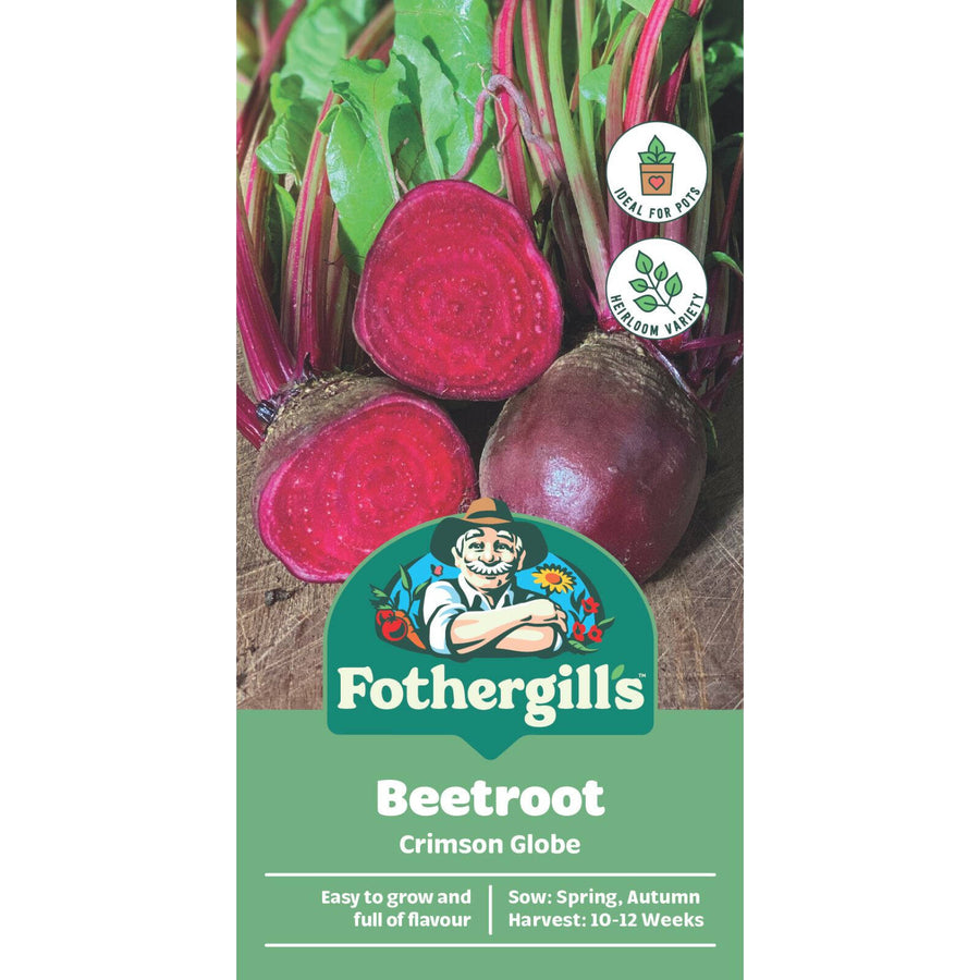 Mr Fothergill's Crimson Globe Beetroot Seeds - Deep Red Easy-Grow Roots
