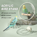 Acrylic Bird Perch Stand with Wooden Bar - Round Ring Design - view 2