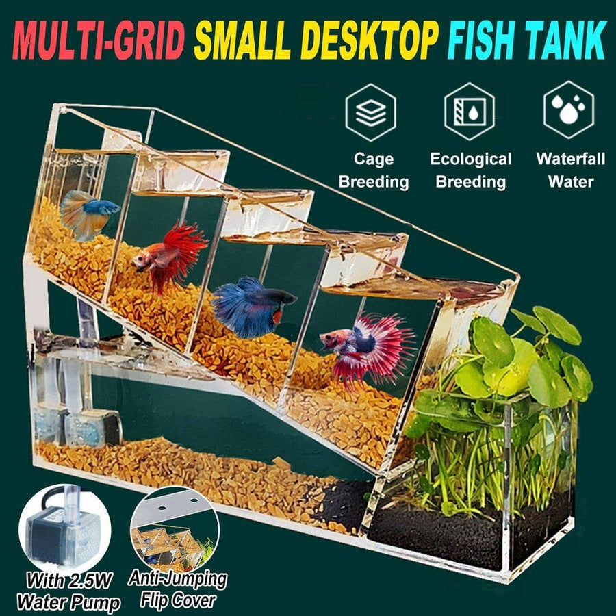 Acrylic Desktop Aquarium with Compartments and 2.5W Pump